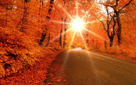 otono-Bella-carretera-en-otoño