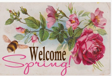 Welcome Spring jpeg
