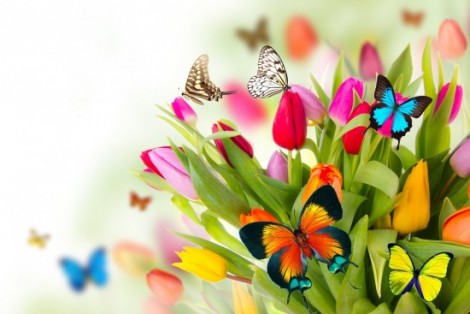 tributo-a-la-primavera-con-flores-y-mariposas-de-colores