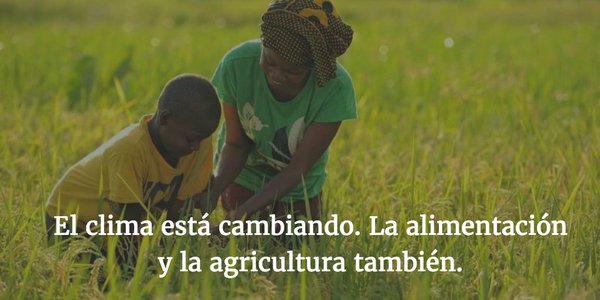 alimentacion-tema-el-clima-esta-cambiando-la-alimentacion-y-la-agricultura-tambien