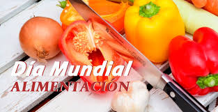 alimentacion-jpeg14