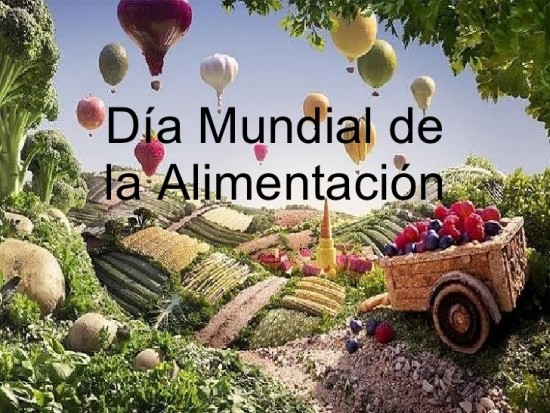 alimentacion-jpeg15