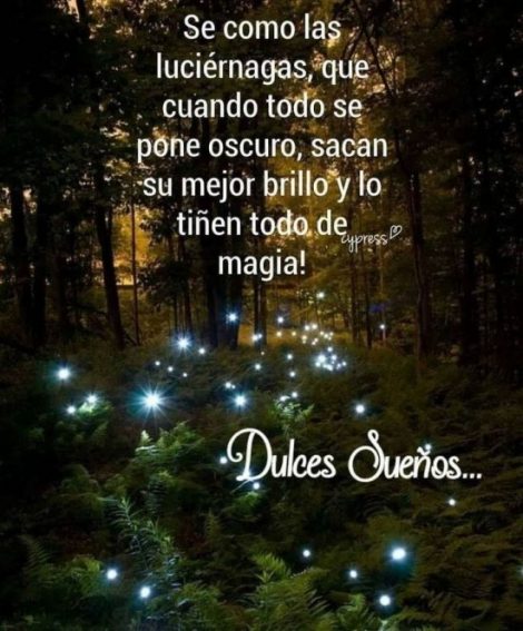 Imágenes bonitas y frases de Buenas noches y Dulces Sueños ...