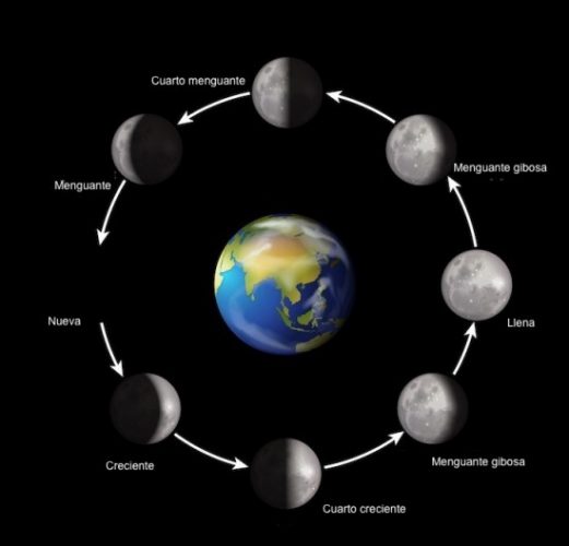 Las 8 Fases de la Luna [Características con imágenes]