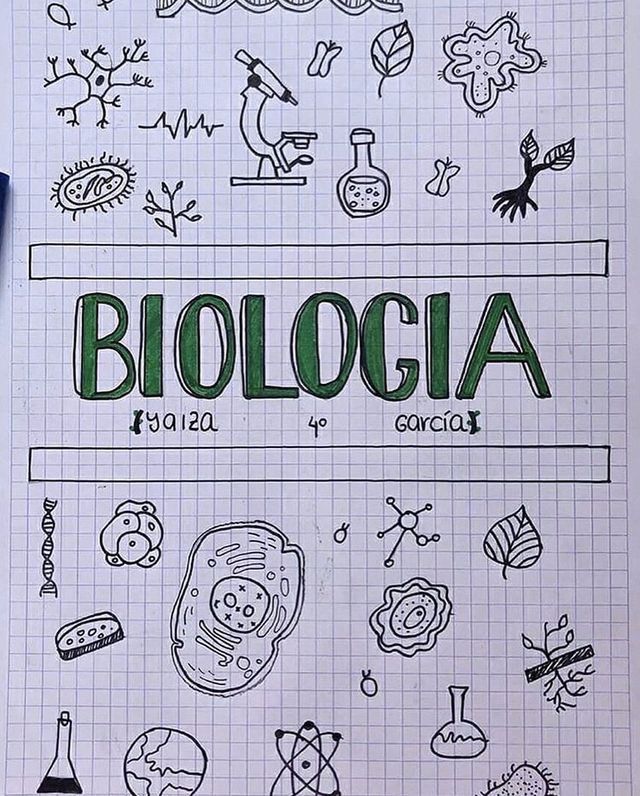 Capas De Trabalho De Biologia Para Imprimir Ensino 3970