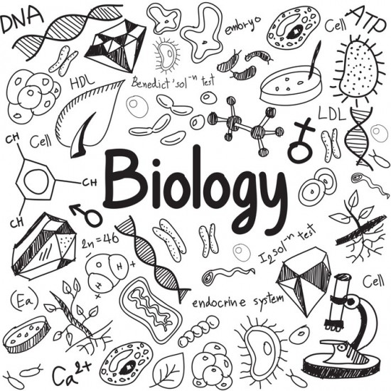  Portadas de Biología, diseños bonitos, fáciles, ideas, dibujos