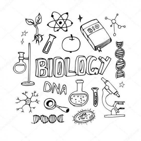  Top   imagen dibujos de biologia faciles