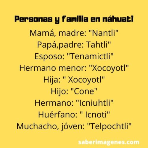 Palabras En N Huatl Con Su Significado Sustantivos Y Expresiones