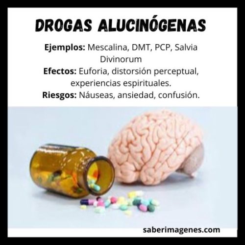 Que Tipos De Drogas Existen? Efectos Y Riesgos | Saberimagenes.com